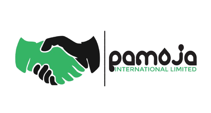 Pamoja International